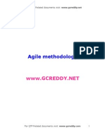 Agile Dev Elopement Model