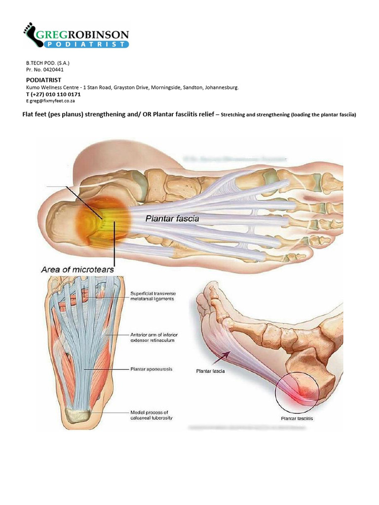 Exercises for Flat Feet Relief | PDF | Foot | Lower Limb Anatomy
