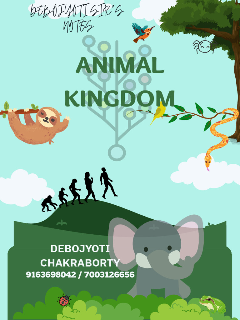 Animal Kingdom - Complete Updated Notes | PDF | Sponge | Mollusca
