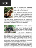 Download Kliping Hewan Langka  Tumbuhan by Bukhari Ari SN87187455 doc pdf