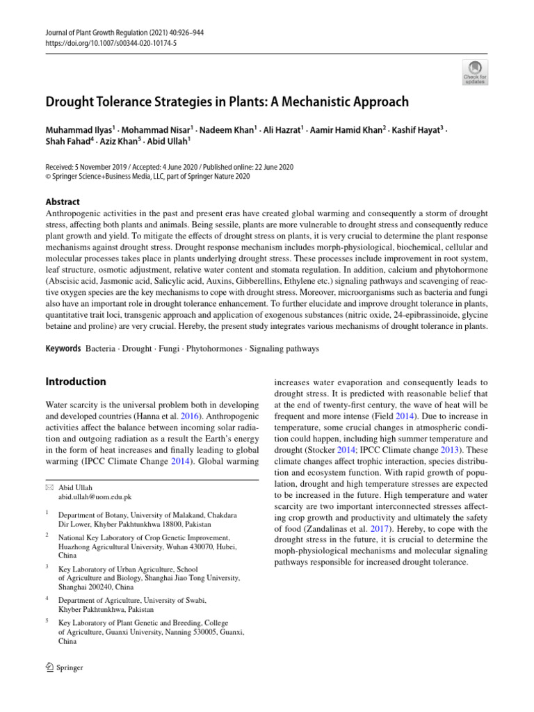 Drought Tolerant Strategies in Plants-1 | PDF | Plant Hormone ...