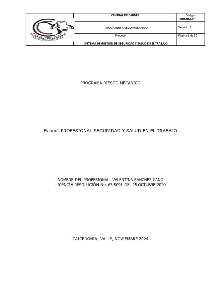 Programa De Riesgo Mecánico En Maquinaria Pdf Herramientas Ruido 