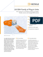 UMUX SDH Family of Plug-In Units