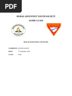 AY Society Sabbath Program Outline | PDF | Christian Movements | Adventism