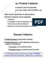 Enzymes: Protein Catalysts