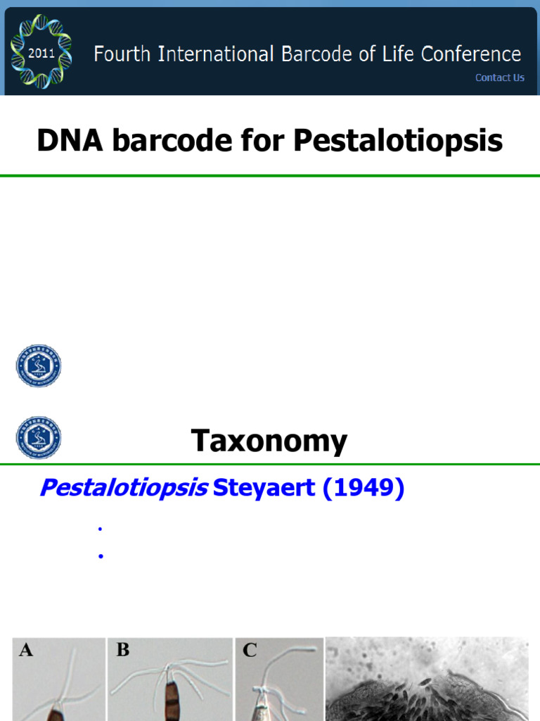 DNA Barcoding of Pestalotiopsis Species | PDF | Species | Taxonomy ...