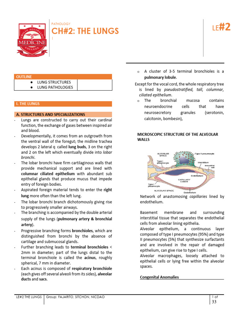 Pathology 2-2 Lec 2 (Respi) | PDF | Lung | Chronic Obstructive ...