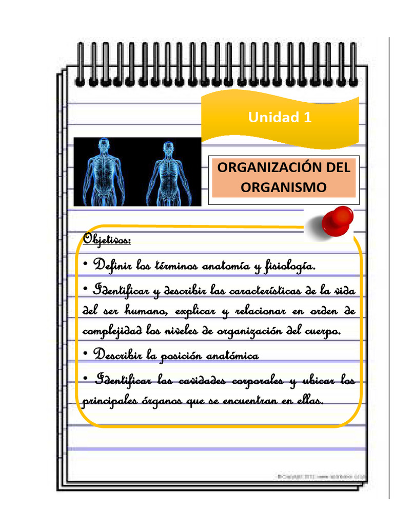 Anatomía y Fisiología del Cuerpo Humano | PDF | Términos anatómicos de ...