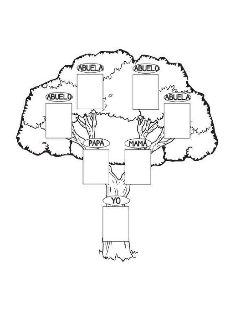 Arbol Genealogico | PDF