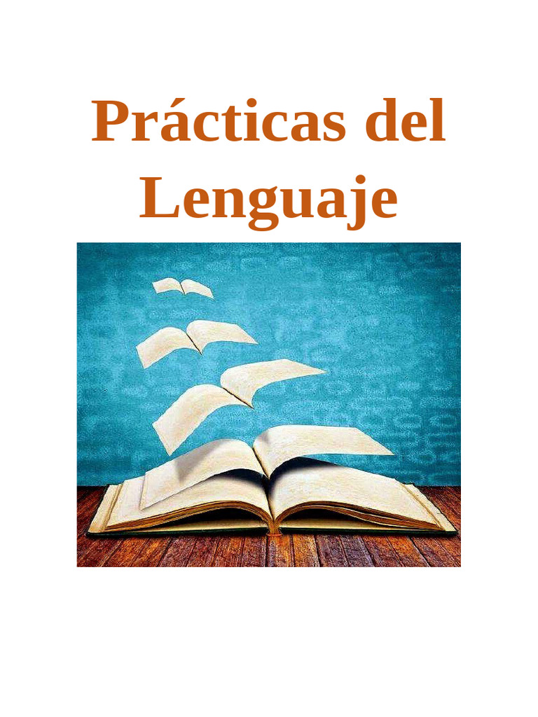 Enfoque Curricular en Prácticas del Lenguaje | PDF | Escritura | Puntuación