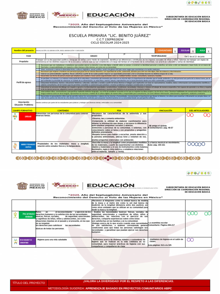 3do Proyecto - 3er Trimestre JUNIO | PDF | Comunidad | Aprendizaje