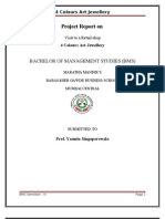 Project Report On: Bachelor of Management Studies (BMS)