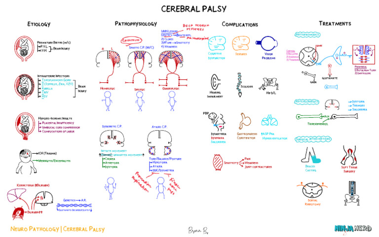 Neuro Pathology) 01 Cerebral Palsy - Key | PDF | Cerebral Palsy ...