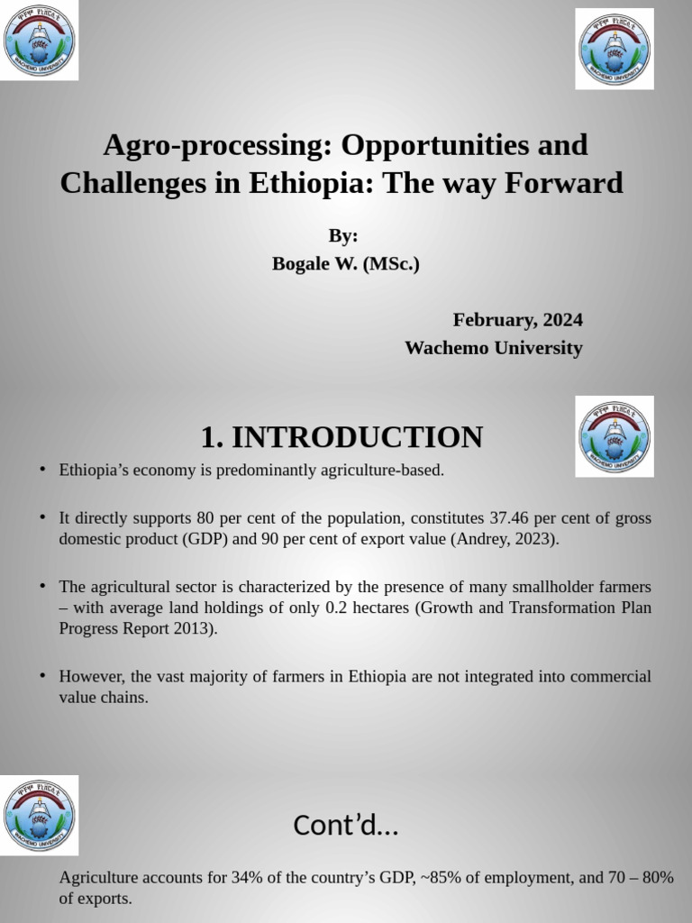 Agro-Processing Opportunities in Ethiopia | PDF | Agriculture | Food ...