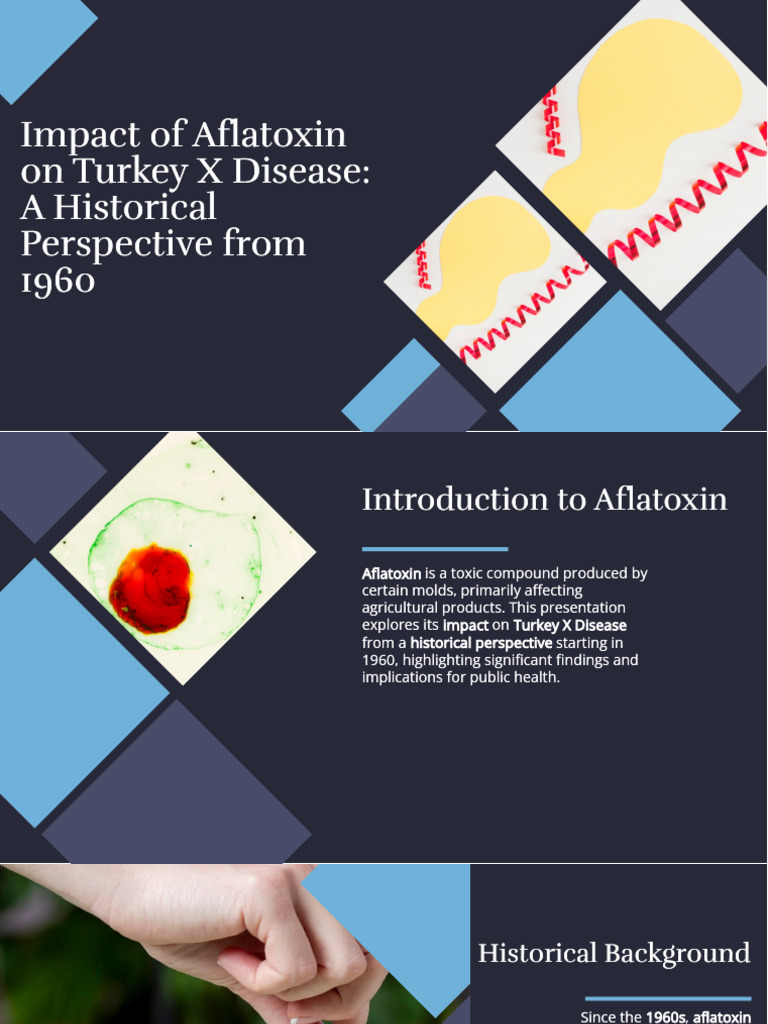 Aflatoxin's Role in Turkey X Disease | PDF | Health Sciences | Medical ...
