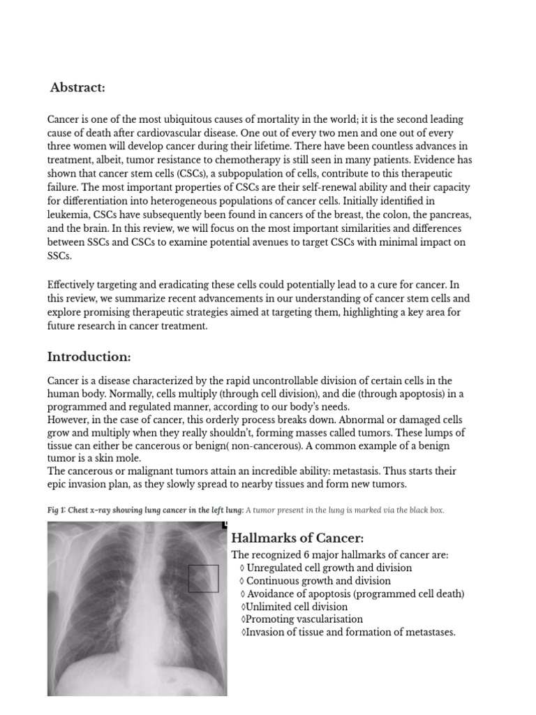 Targeting Cancer Stem Cells Grade 11 Project Sample | PDF | Cell ...