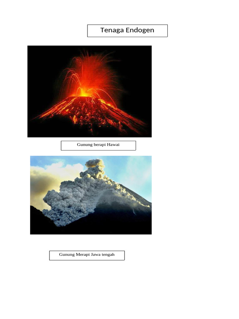 Endogen &exsogenwwwwwwwwwwww | PDF