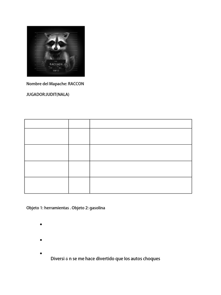 RACCON | PDF