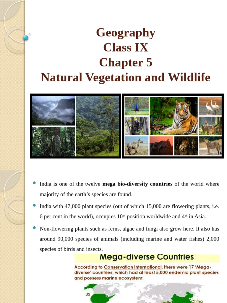 India's Natural Vegetation and Wildlife | PDF | Forests | Soil