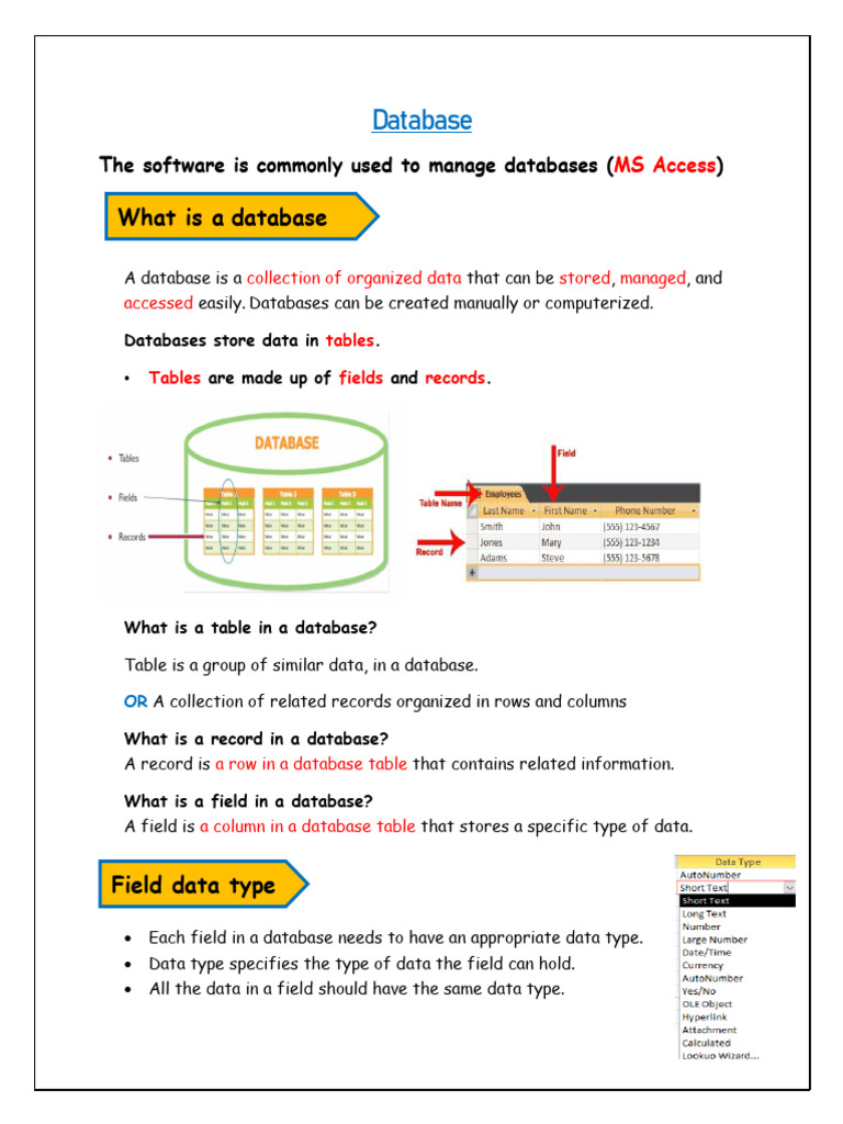 Database and Data Representation Sheet - 024624 | PDF | Databases ...
