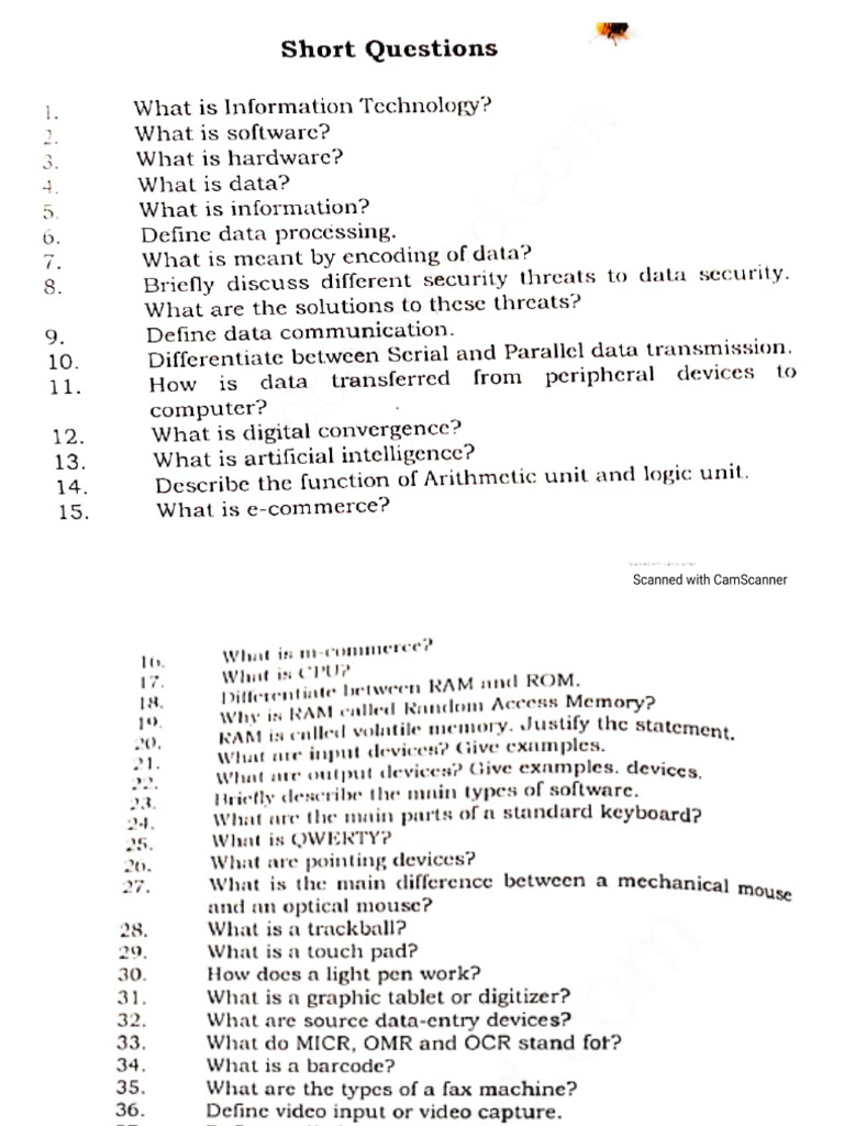 Class 11 Computer Short Questions | PDF