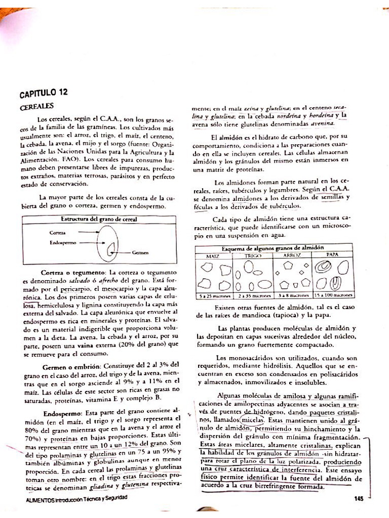 Cap. 12 Cereales - Almidones (Medin) | PDF