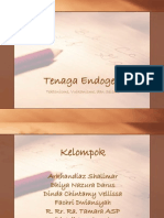 Tenaga Endogen