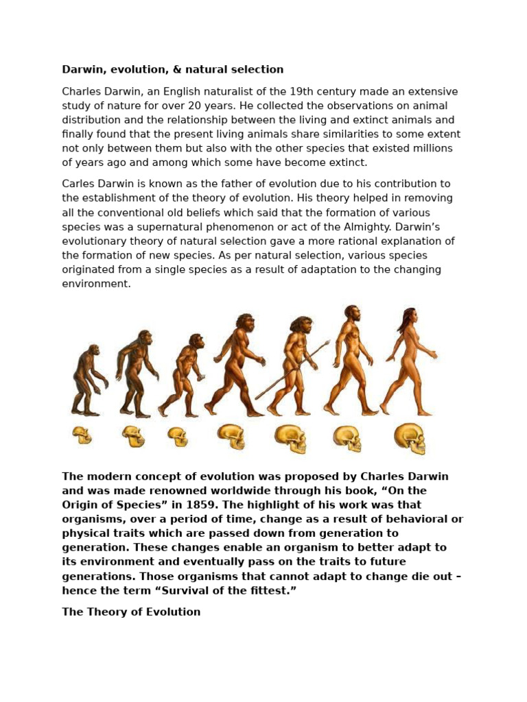Darwin's Theory of Evolution Explained | PDF | Evolution | Natural ...