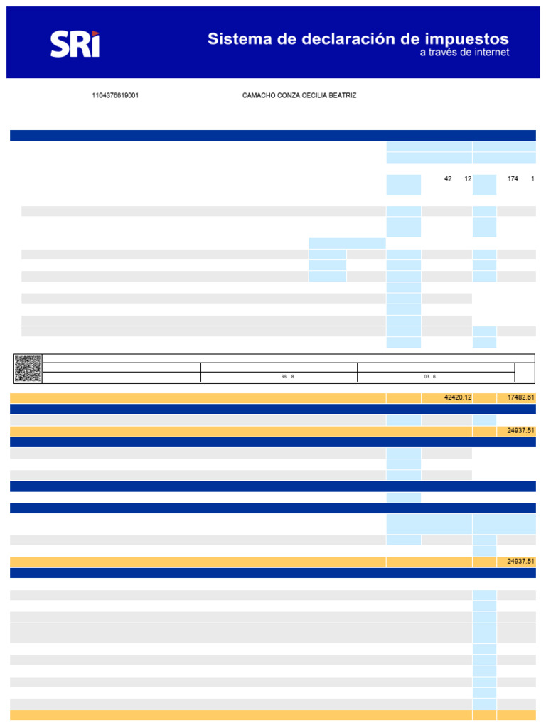 Declaración de Impuesto a la Renta 2024 | PDF | Impuestos | Impuesto ...