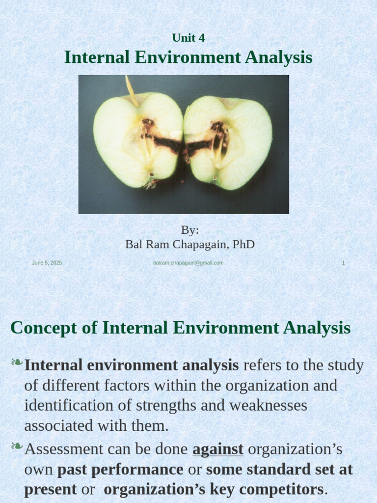 Internal Environment Analysis Guide | PDF | Competitive Advantage ...