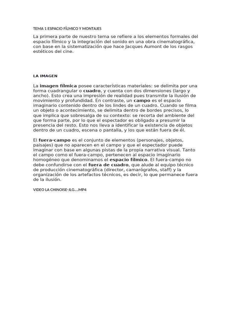 Espacio Fílmico y Montajes en Cine | PDF | Sonido | Cámara