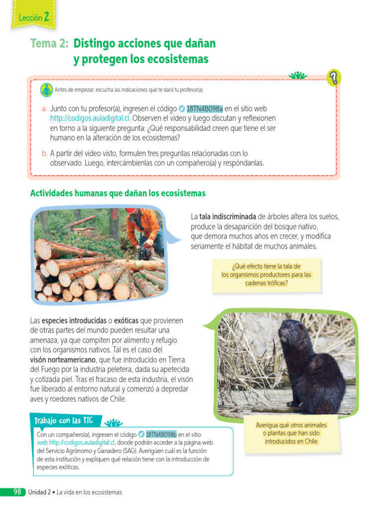 inhalt magazin ilu