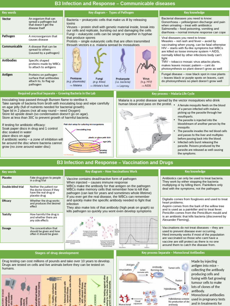 B3 Triple Infection and Response Knowledge Maps | PDF | Pathogen ...