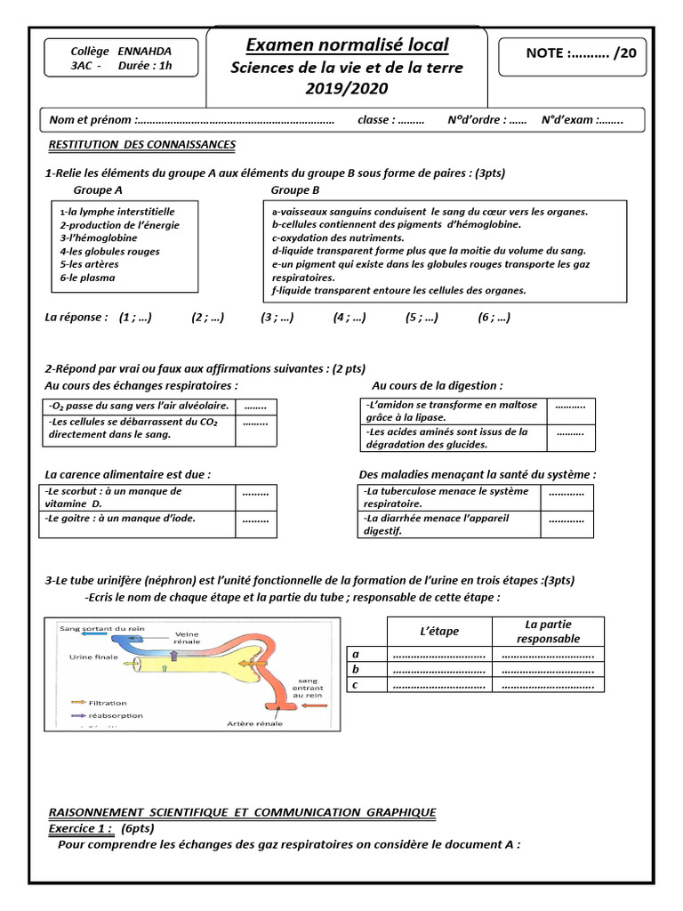 Examen de Sciences de la Vie et de la Terre | PDF | Sang | Spécialités ...