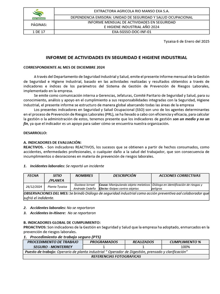 Informe Mensual de Seguridad Diciembre 2024 | PDF | Higiene Ocupacional ...