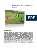 Agriculture Biodiversity and Food Security