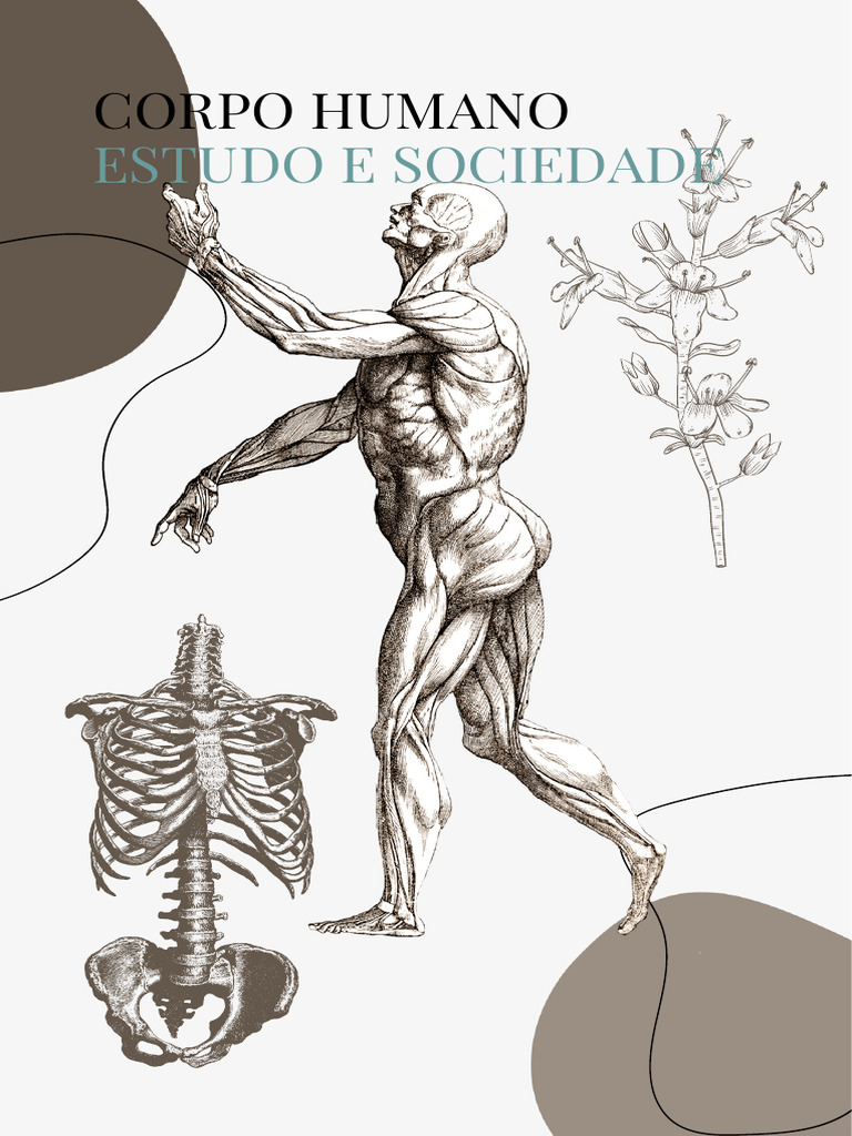 Capa De Livro Educação Física Branco Azul E Preto 20240830 202400
