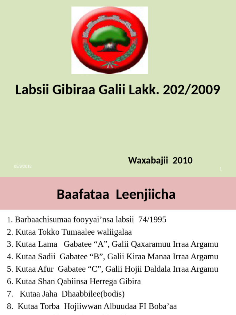 Labsii Gibiraa Galii 202 Final (Part-1.) | PDF