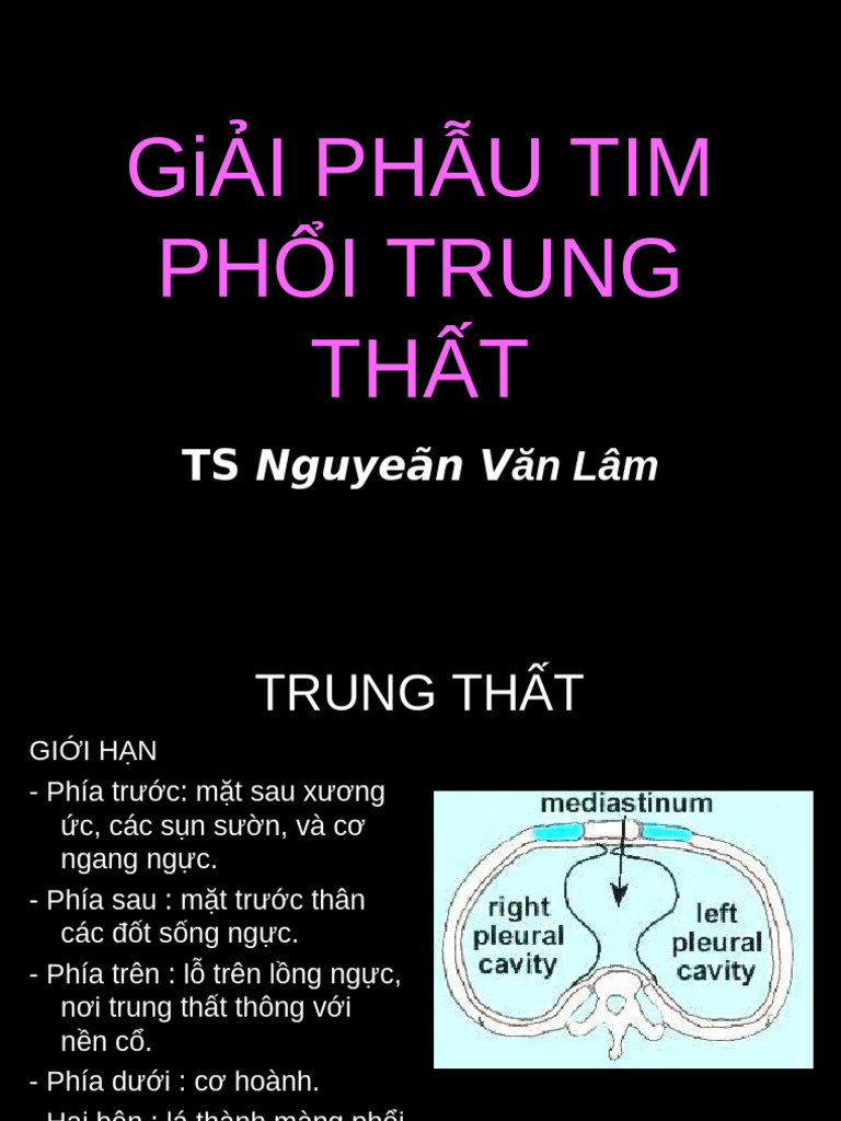Trung That Tim 3604 | PDF