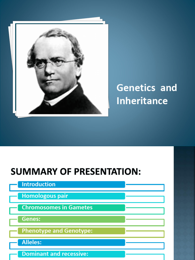 Genetics and Inheritance Overview | PDF | Dominance (Genetics) | Zygosity