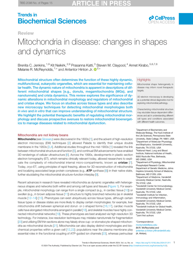 CELL - Mitochondria in Disease - Changes in Shapes and Dynamics ...