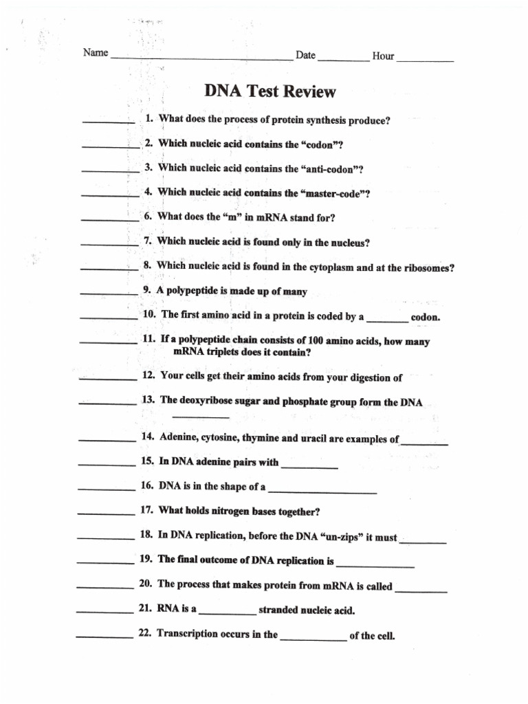 DNA Test Review 2025 | PDF
