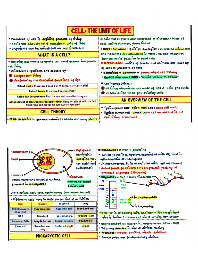 Cell - The Unit of Life | PDF