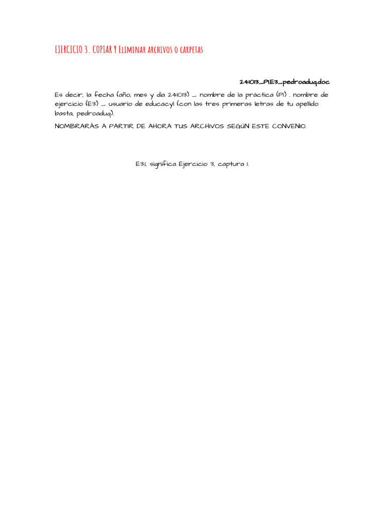 Ejercicio de gestión de archivos | PDF