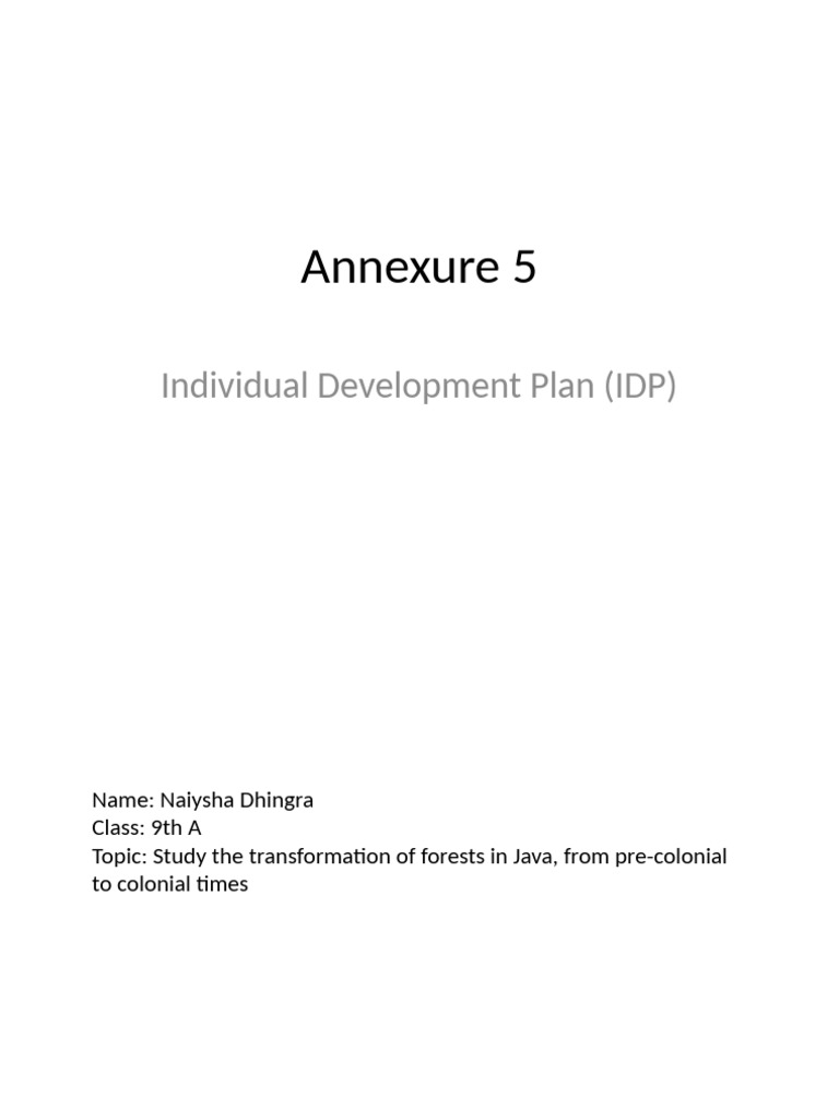 Annexure 5 IDP Presentation | PDF