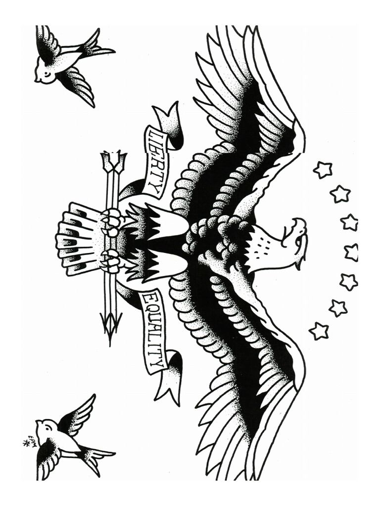 Early Picture Machine Flash | PDF