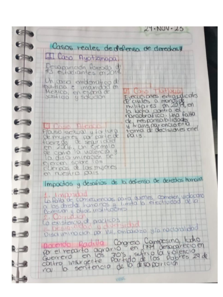 Casos Reales Sobre Derechos Humanos | PDF