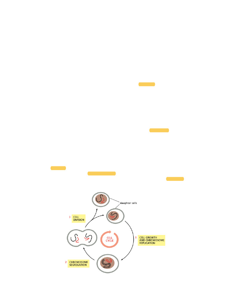 Ciclo Celular: Fases y Control en Células | PDF | Mitosis | Ciclo celular