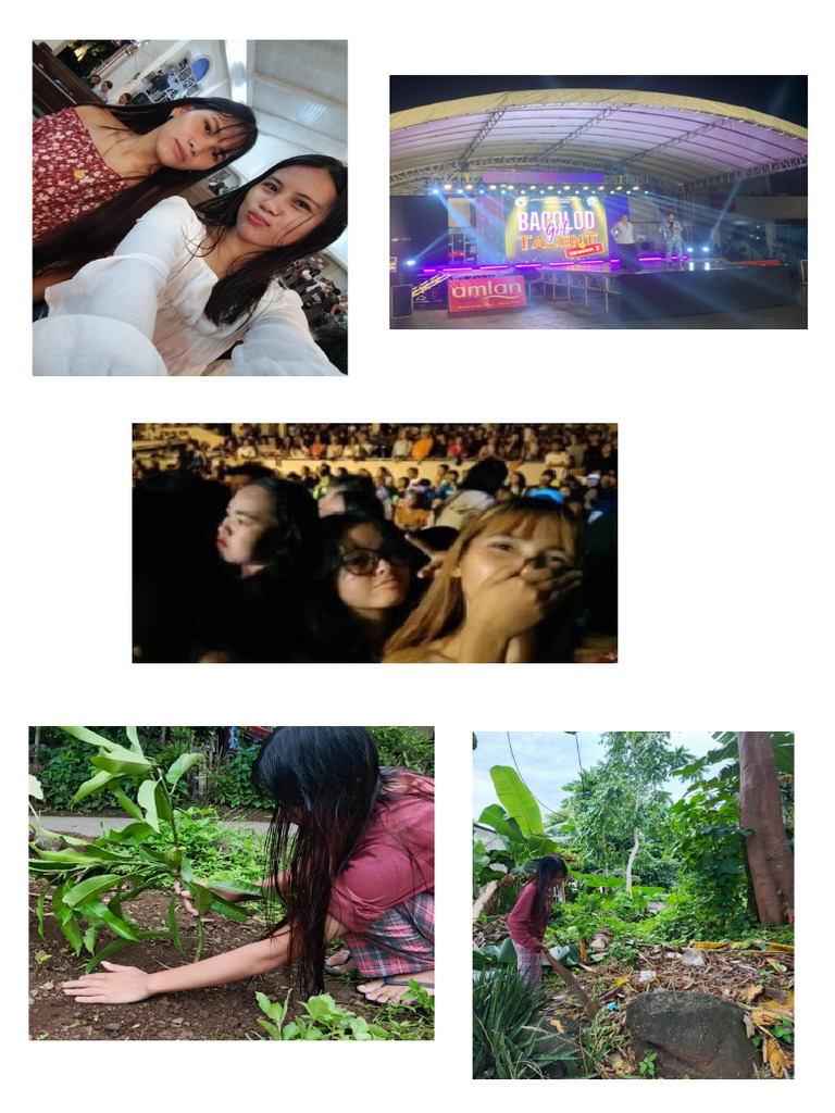 Scripted Pics | PDF