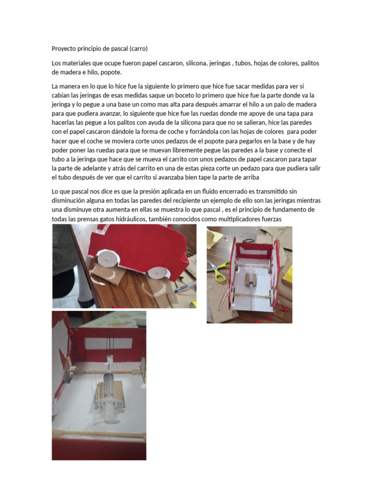 Proyecto de Carro del Principio de Pascal | PDF